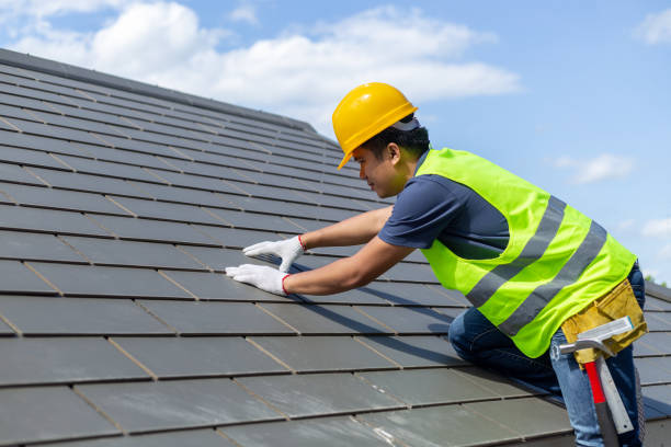 Best Storm Damage Roof Repair  in Dresden, OH