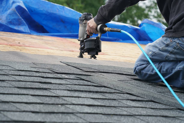 Best Gutter Installation and Roofing  in Dresden, OH